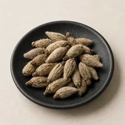목련꽃 약재 사진