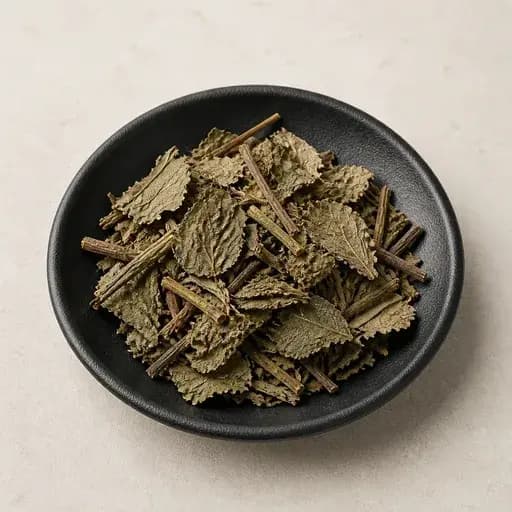 삼백초 약재 사진